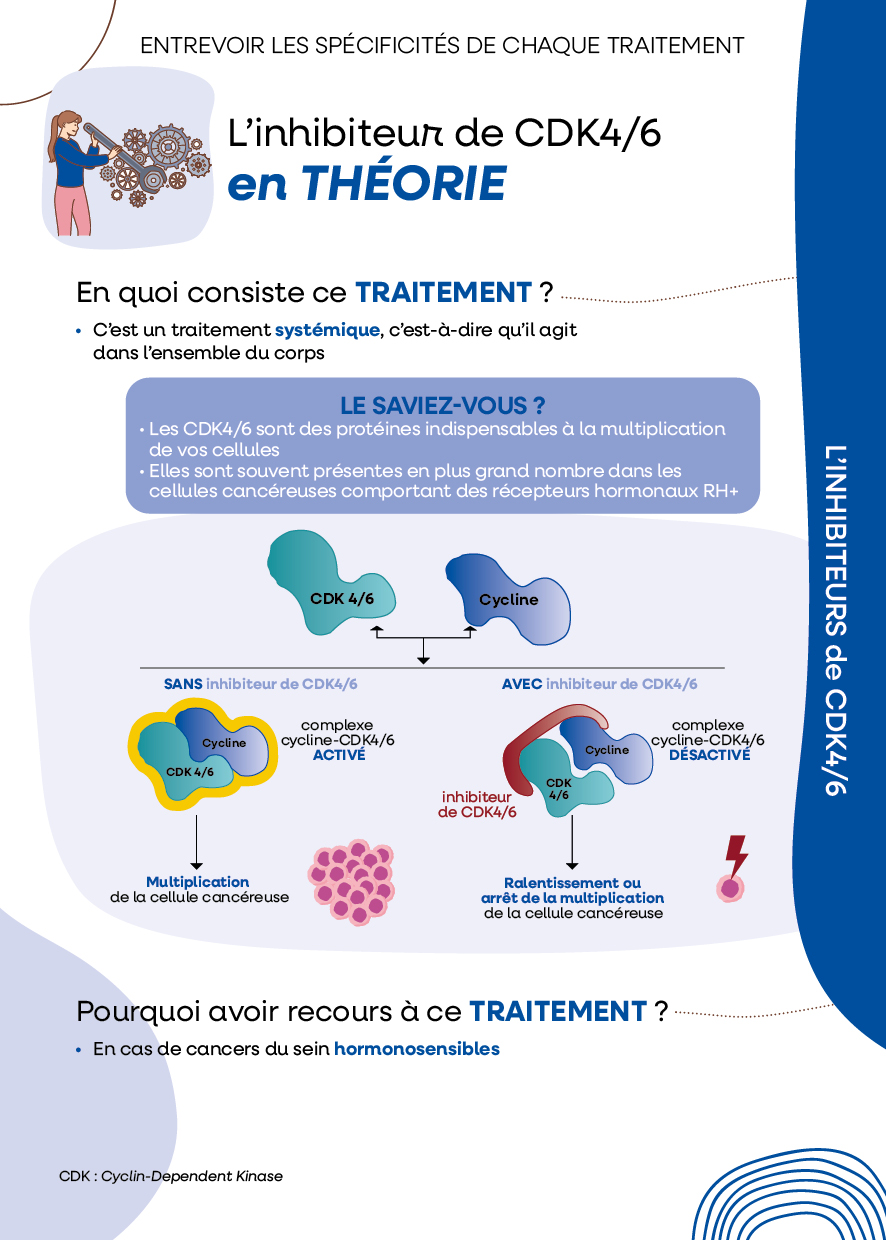L'inhibiteur de CDK4/6