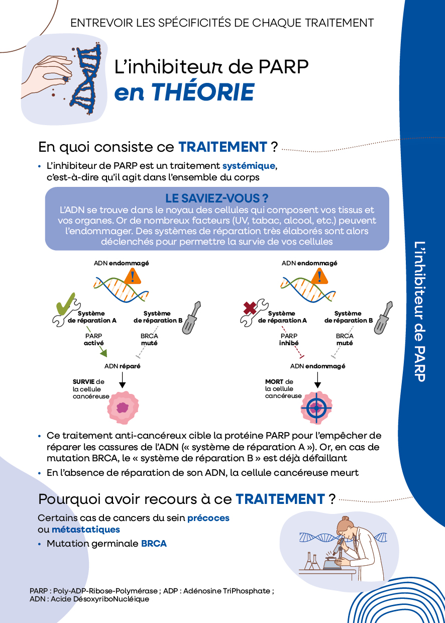 L'inhibiteur de PARP