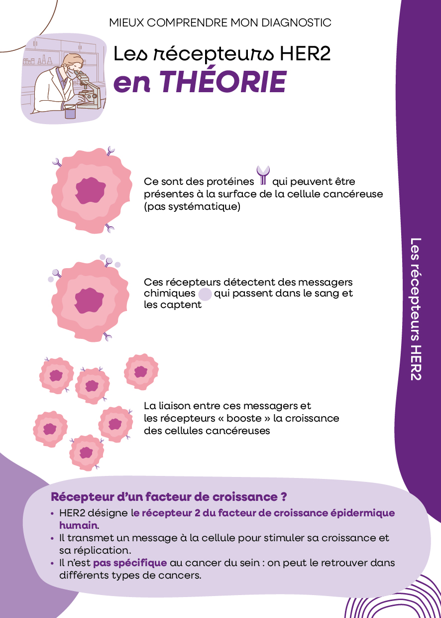 Les récepteurs HER2
