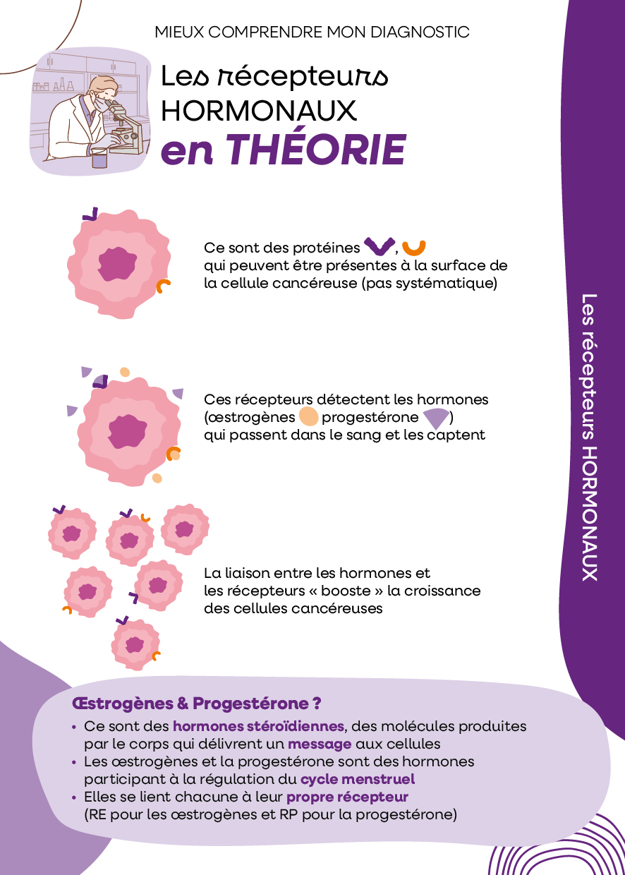 Les récepteurs hormonaux